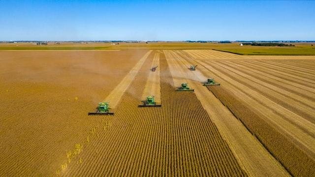 line of green tractor harvesting crops