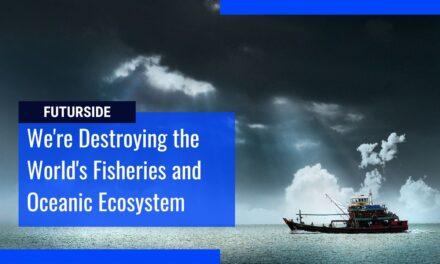 Overfishing: The Ugly Side of Fishing and Can it Become Sustainable