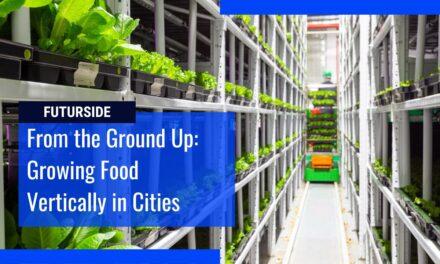 Turning Cities Into Vertical Farms For a Sustainable Future