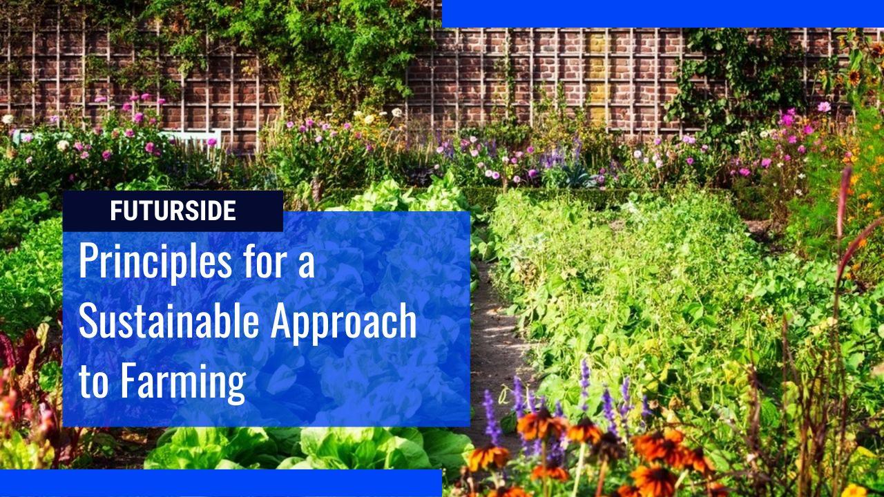 The 14 Principles of Permaculture and Its Ethics