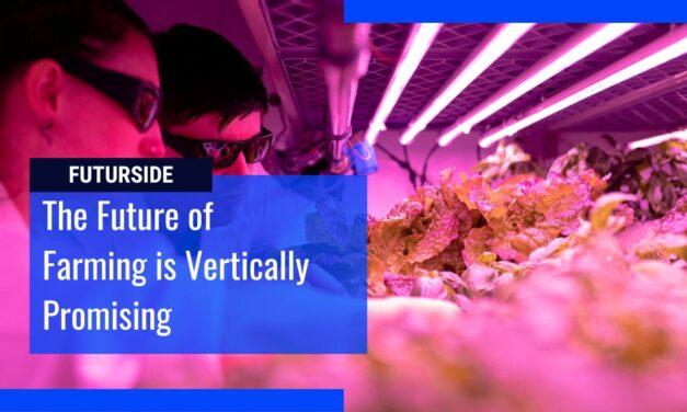 Vertical Farming Increases Efficiency of the Agriculture Sector